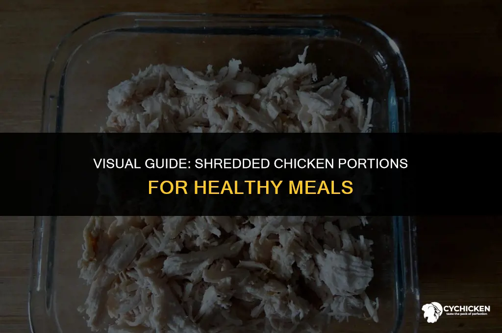 what does 100g of shredded chicken look like