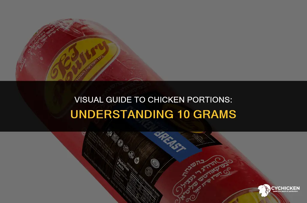 what does 10g of chicken look like