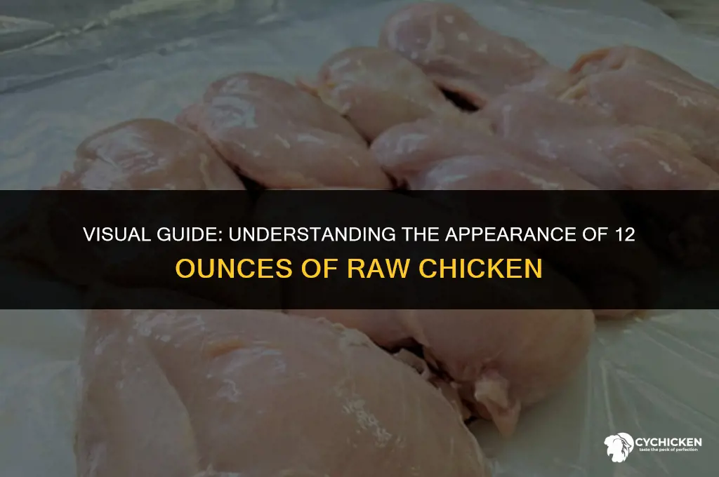 what does 12 oz of chicken look like raw