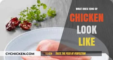 Visual Guide: Understanding the Appearance of 120 Grams of Chicken
