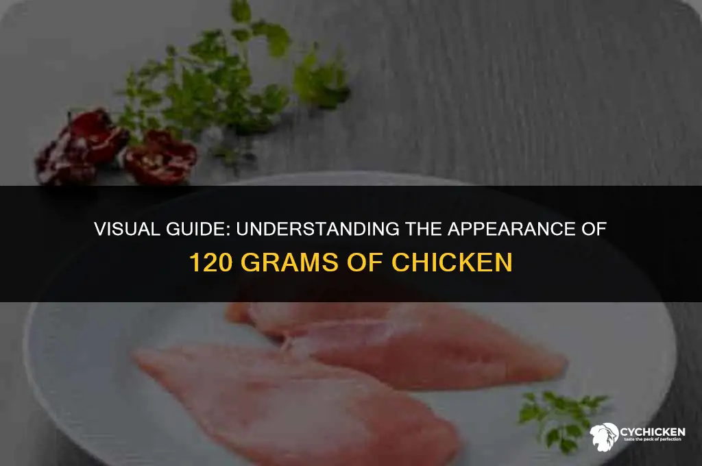 what does 120g of chicken look like