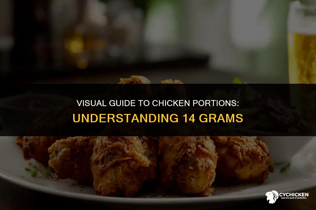 what does 14g of chicken look like