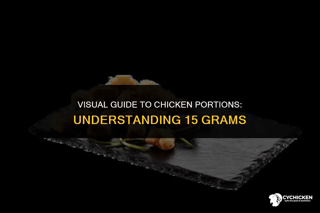 what does 15 grams of chicken look like