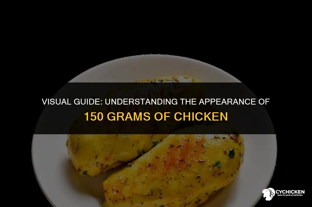 what does 150 g of chicken look like