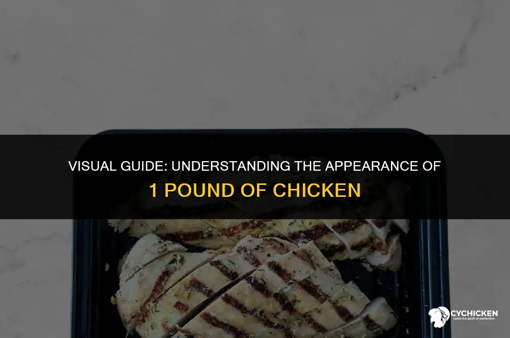 what does 1lb of chicken look like