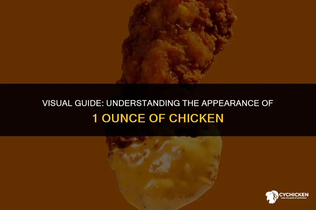 what does 1oz of chicken look like