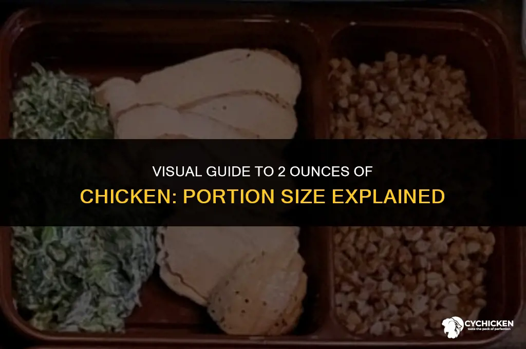 what does 2 oz chicken look like