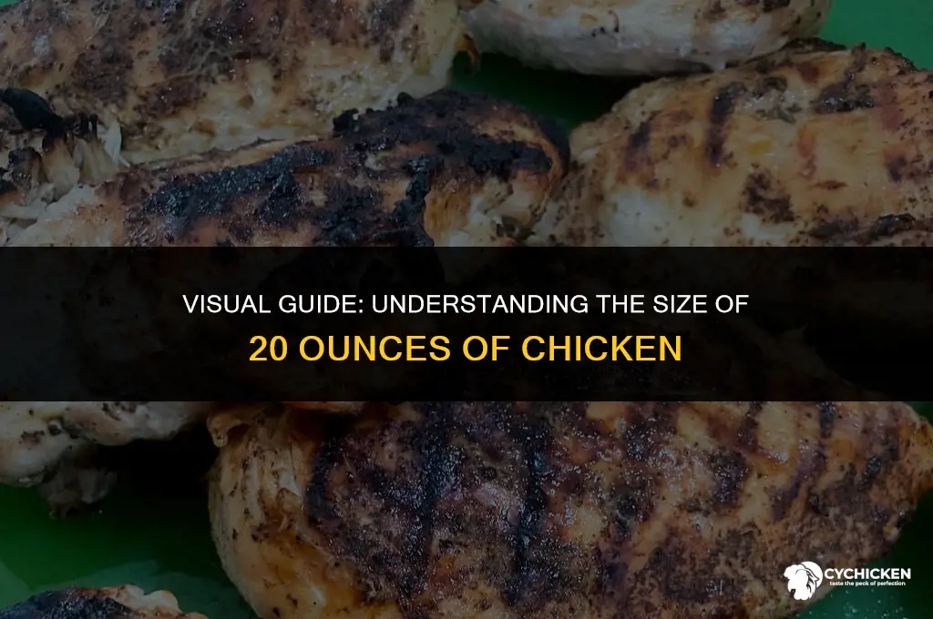 what does 20 oz of chicken look like