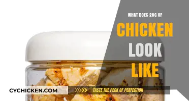 Visual Guide: Understanding 20 Grams of Chicken Portions