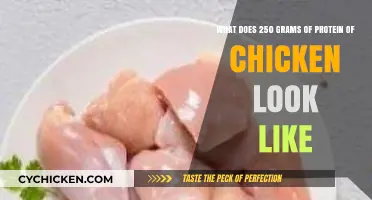 Visualizing a Quarter Kilogram of Chicken Protein: A Comprehensive Guide