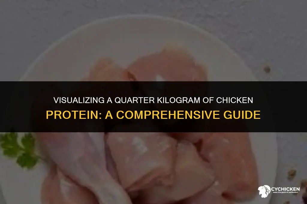 what does 250 grams of protein of chicken look like