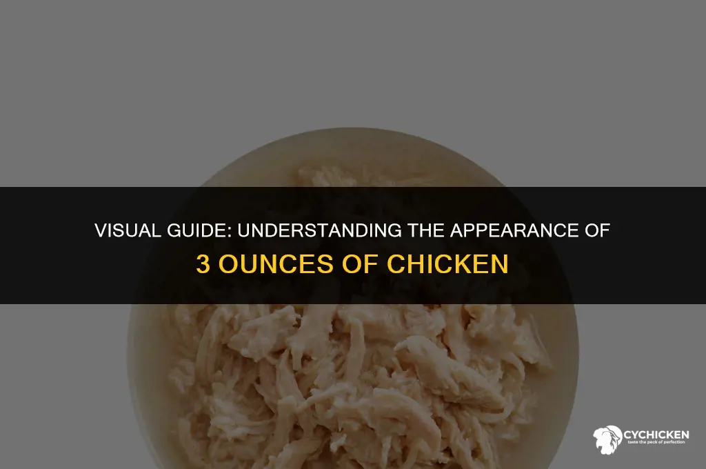 what does 3 0z of chicken look like