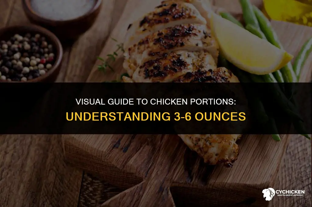 what does 3 6 oz of chicken look like