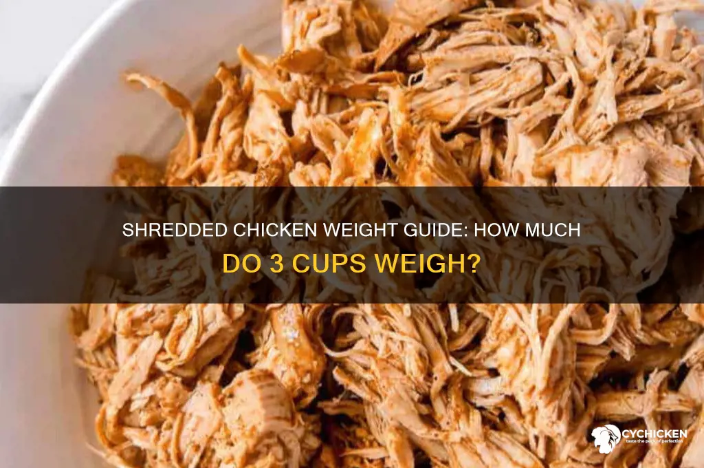 what does 3 cups shredded chicken weigh