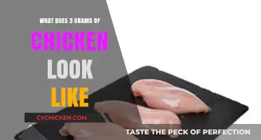 Visual Guide to 3 Grams of Chicken: A Comprehensive Look