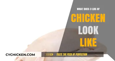 Visual Guide: Understanding the Size of 3 Pounds of Chicken
