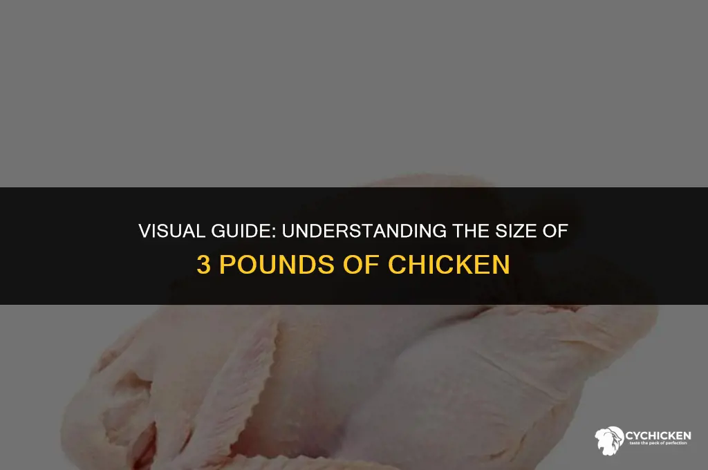 what does 3 lbs of chicken look like