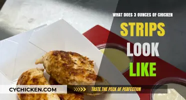 Visual Guide: Understanding the Appearance of 3 Ounces of Chicken Strips