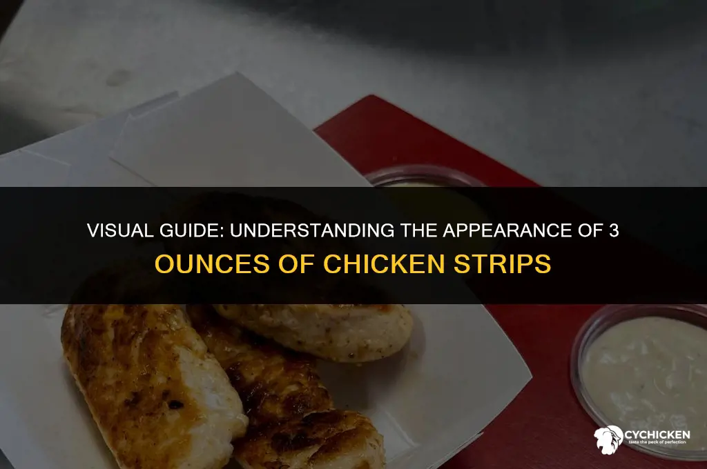 what does 3 ounces of chicken strips look like