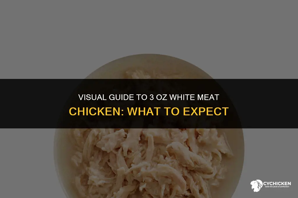 what does 3 oz white meat chicken look like