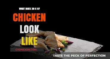 Visual Guide to 30 Grams of Chicken: Portion Size Simplified