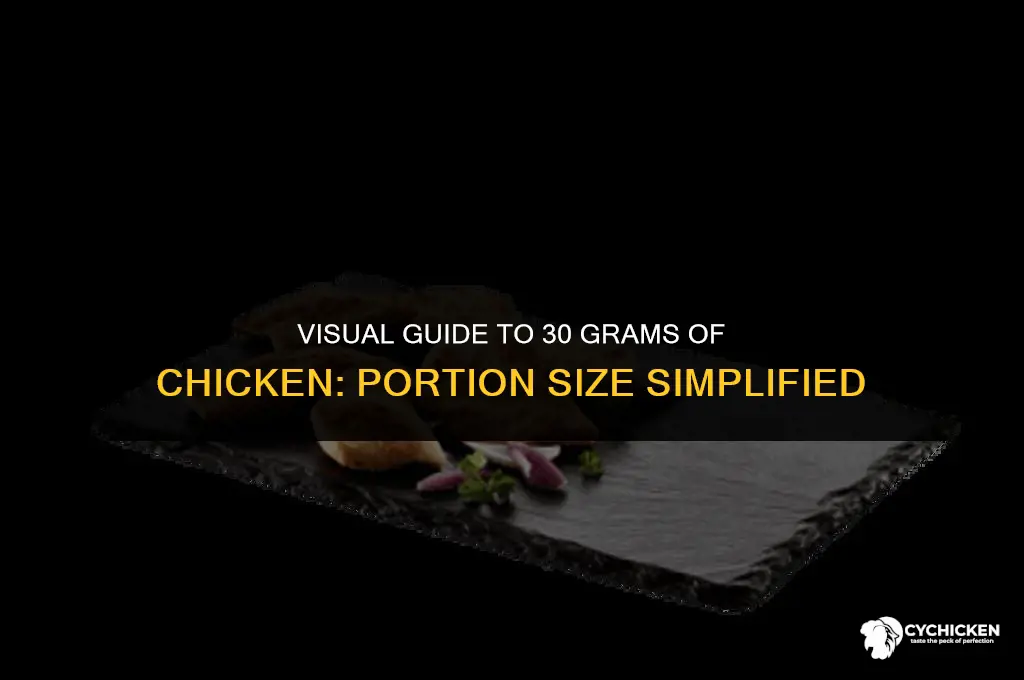 what does 30 g of chicken look like