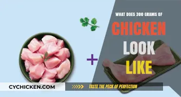 Visual Guide: Understanding the Appearance of 300 Grams of Chicken