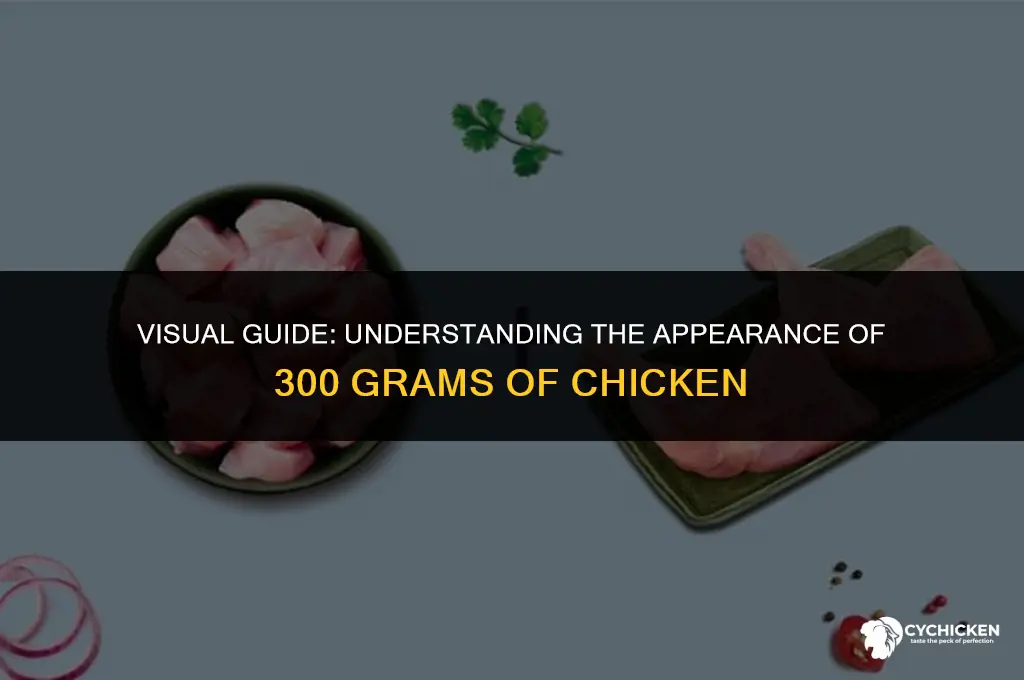 what does 300 grams of chicken look like