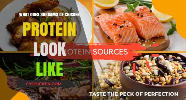 Visualizing Nutrition: What Does 30 Grams of Chicken Protein Look Like?