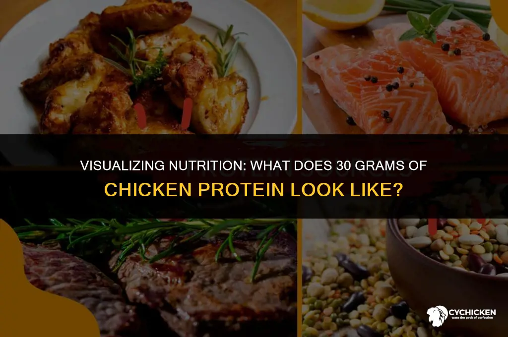 what does 30grams of chicken protein look like