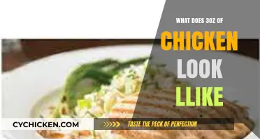 Visual Guide: What 3 Ounces of Chicken Looks Like on Your Plate