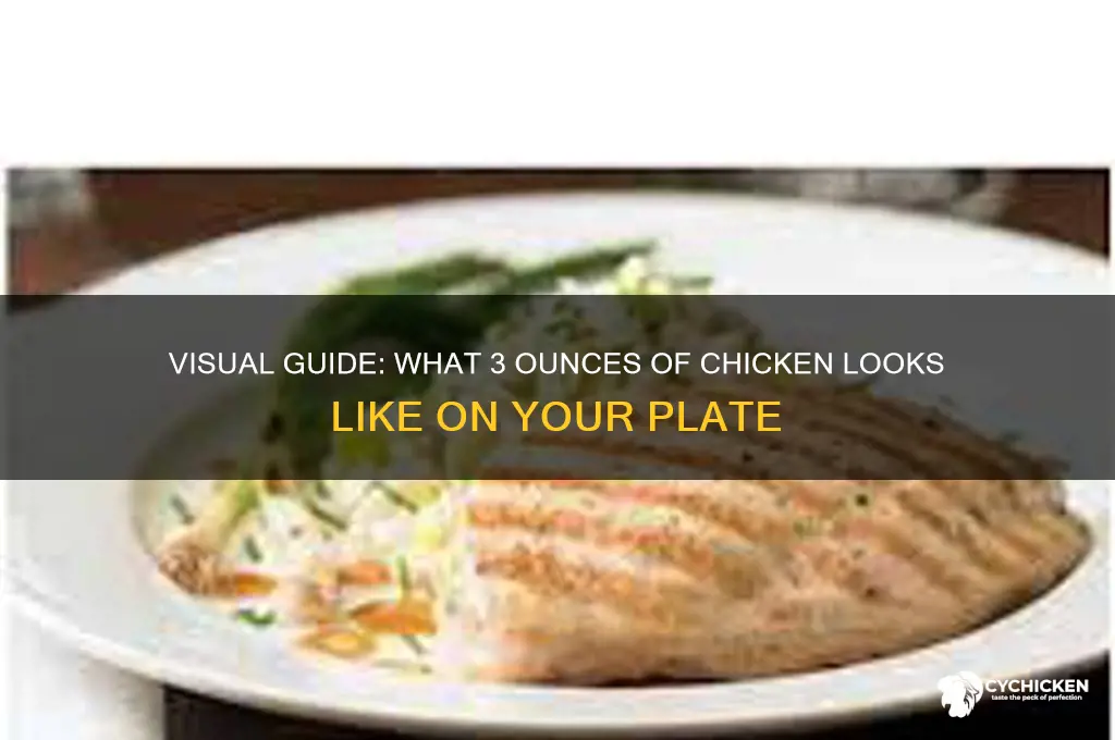 what does 3oz of chicken look llike