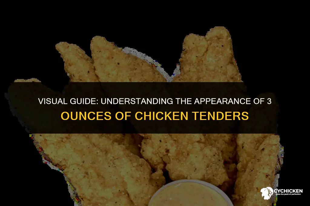what does 3oz of chicken tenders look like