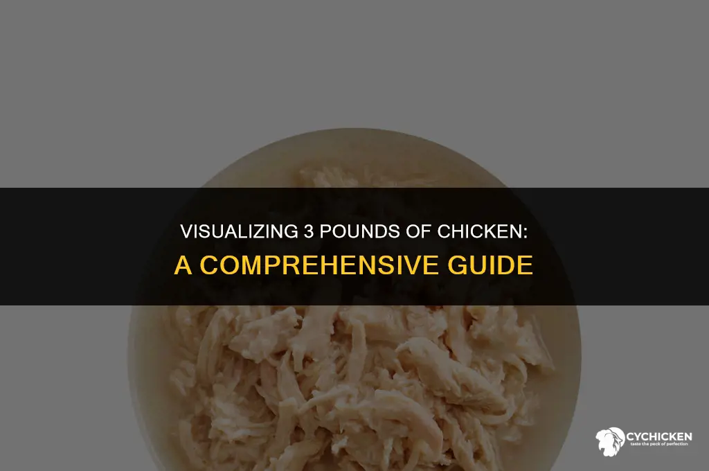 what does 3pz of chicken look like