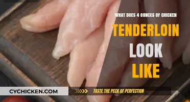 Visual Guide: Chicken Tenderloin Portions for Healthy Meals
