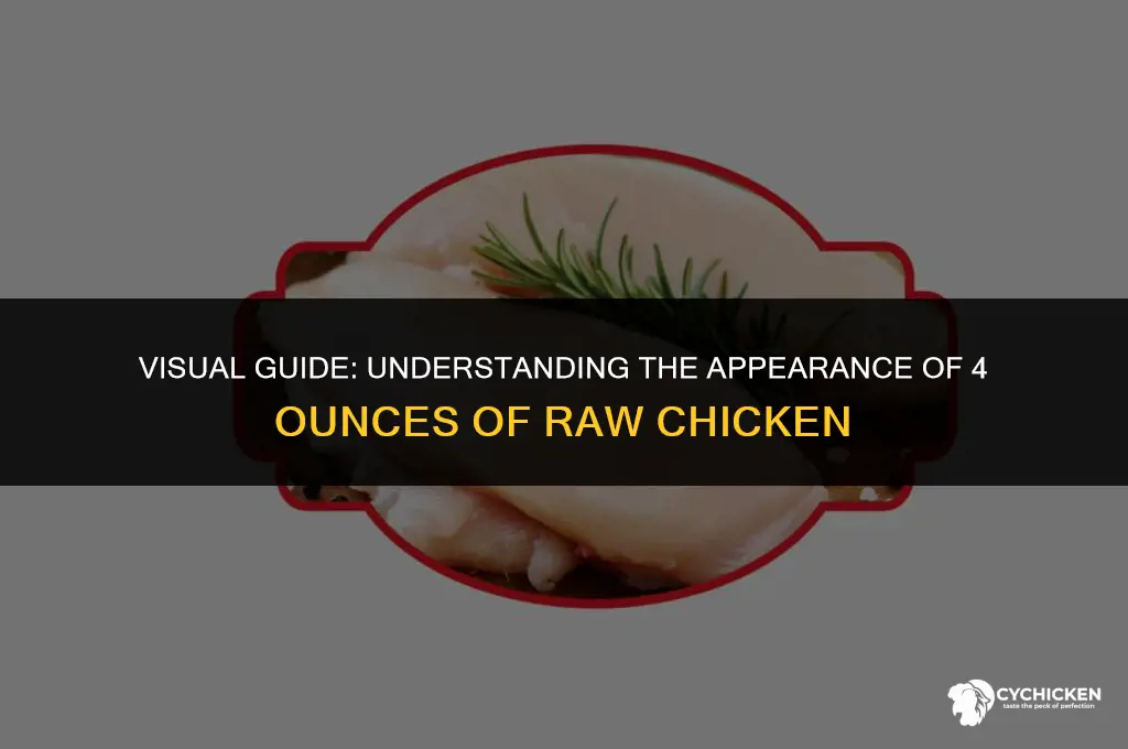 what does 4 ounces of raw chicken look like