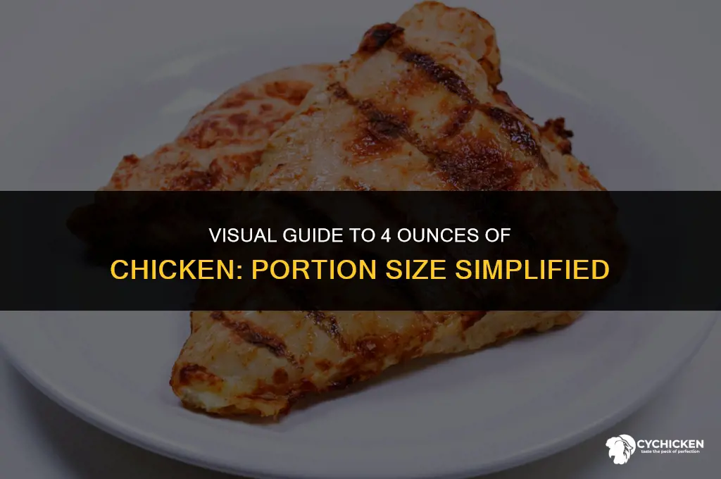 what does 4 oz look like chicken