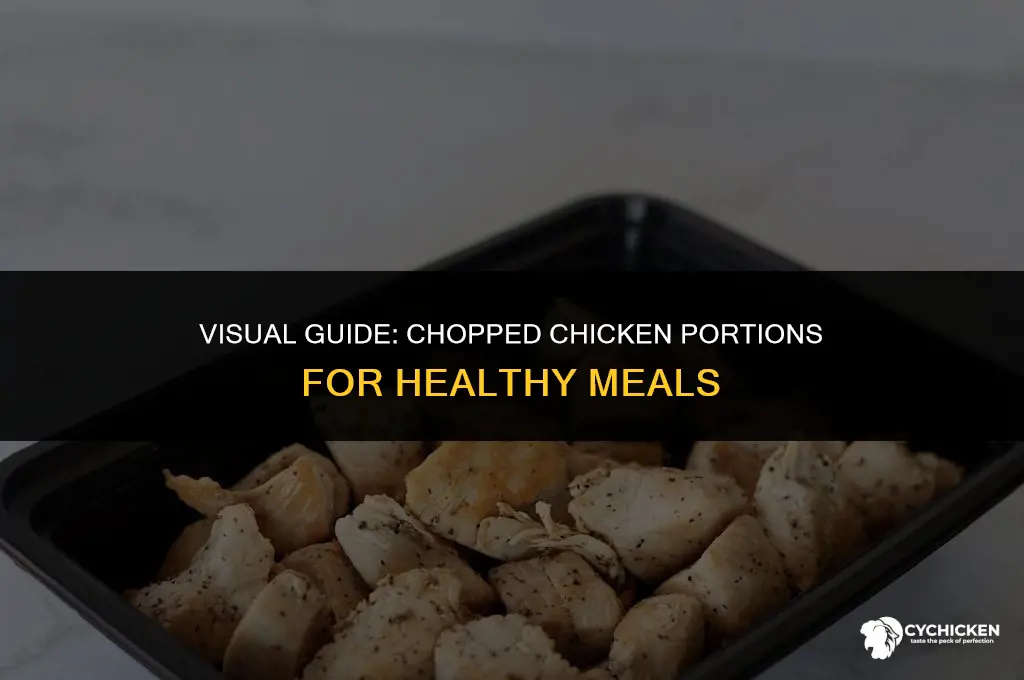 what does 4 oz of chopped chicken look like