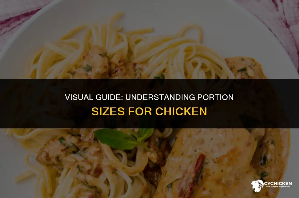 what does 40 grams of chicken look like