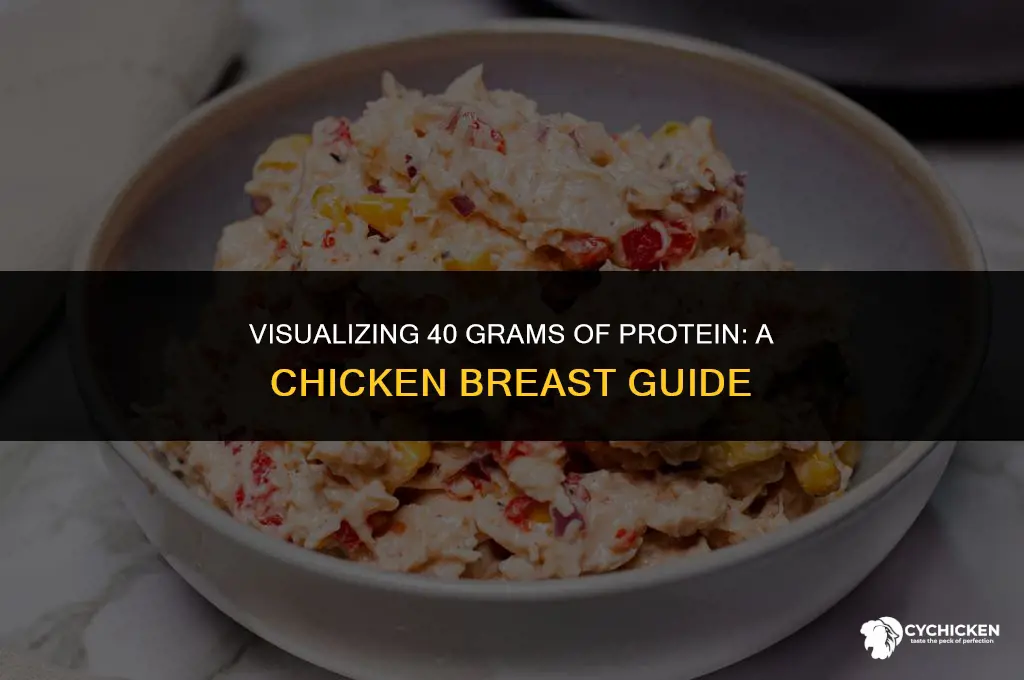 what does 40 grams of protien look like from chicken