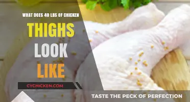 Visualizing 40 Pounds of Chicken Thighs: Size, Storage, and Uses