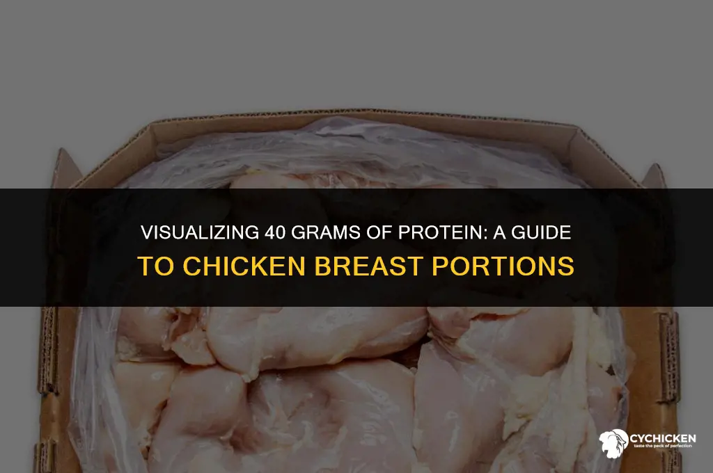 what does 40g of protein from chicken breats look like