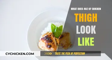 Visual Guide: Understanding the Size of 4oz Chicken Thigh Portion