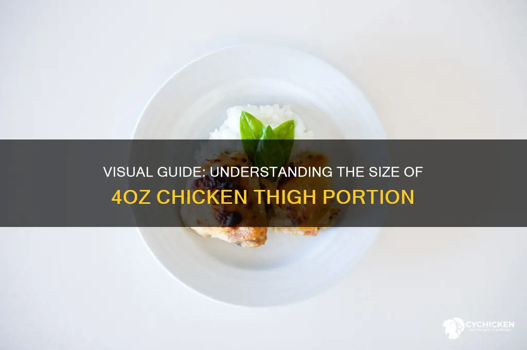 what does 4oz of chicken thigh look like