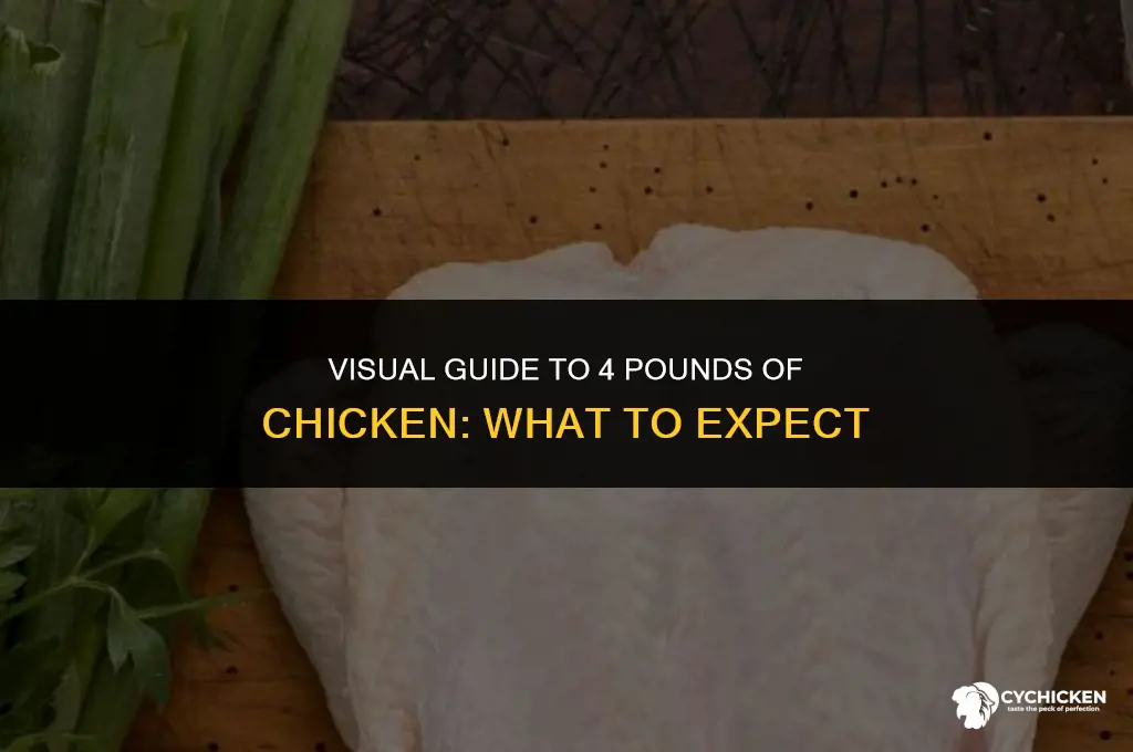 what does 4pz of chicken look like