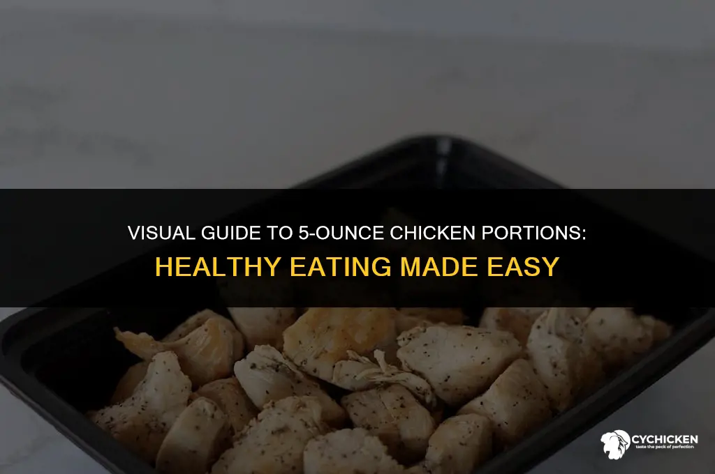 what does 5 ounces chicken look like