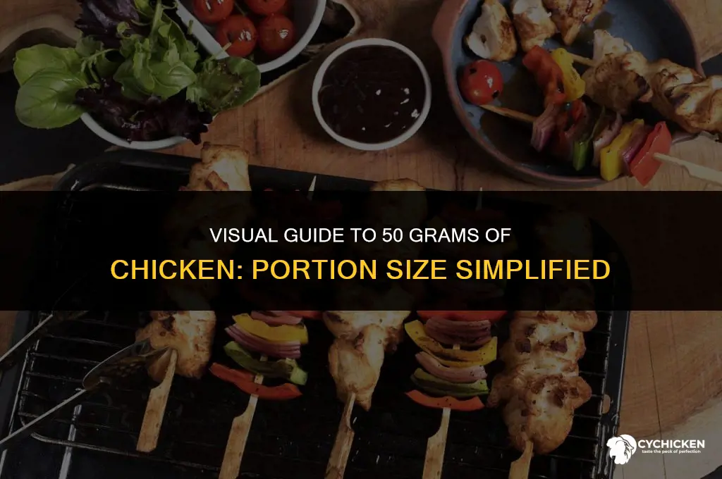 what does 50 g of chicken look like