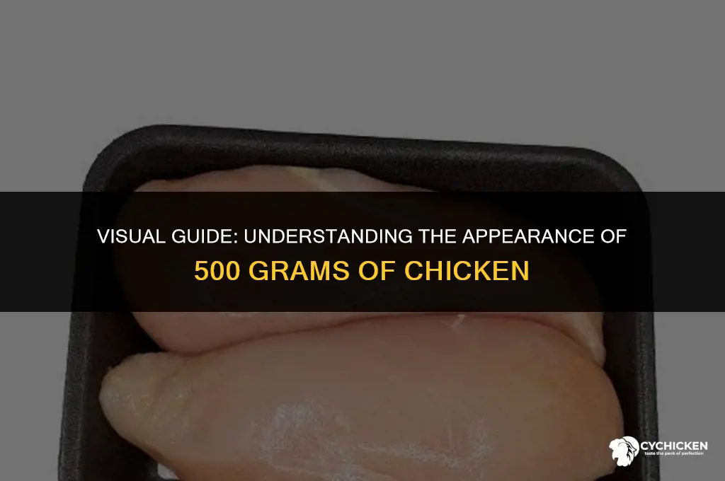 what does 500 grams of chicken look like