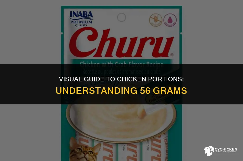 what does 56 grams of chicken look like