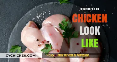 Exploring the Appearance of 6 Ounces of Chicken: A Visual Guide